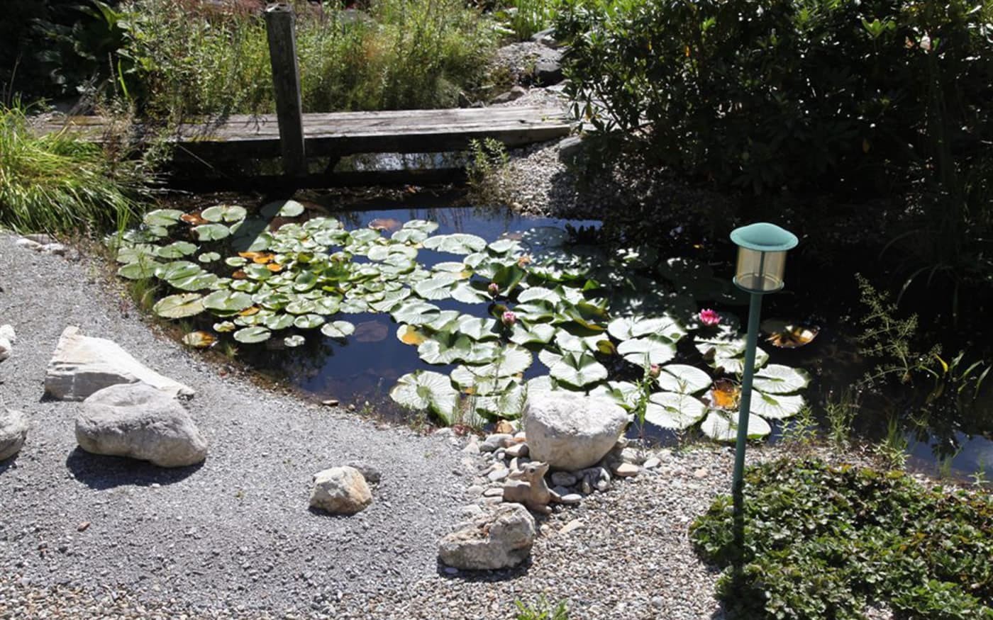 Kleiner Gartenteich mit Seerosen, umgeben von Steinen und einer Holzbrücke