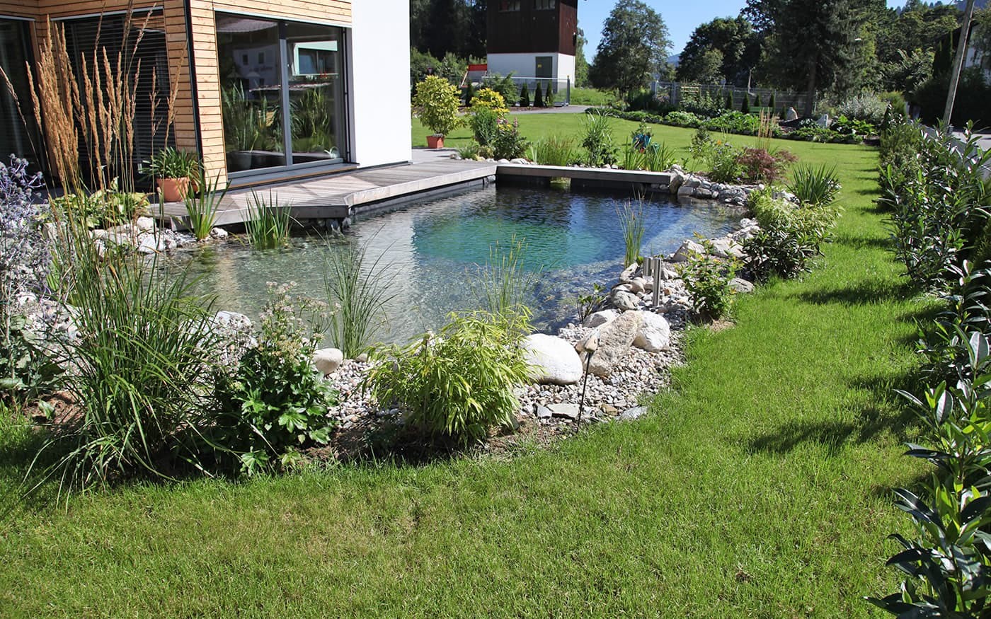 Moderner Garten mit kleinem Teich und üppiger Vegetation, neben einem Holzhaus