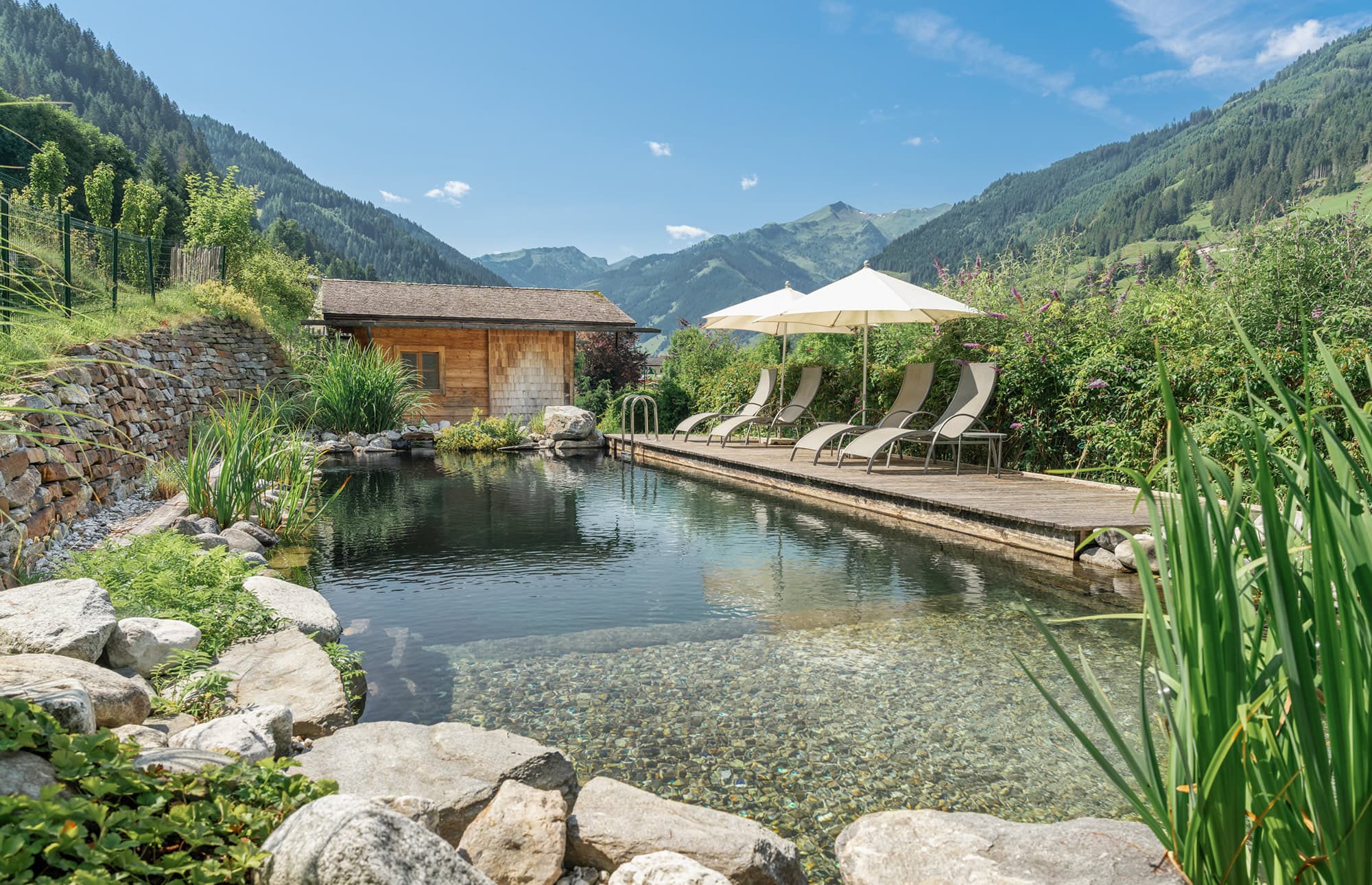 Naturpool von Blumen Gollner